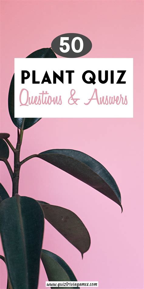 Plant Questions And Answers Epub