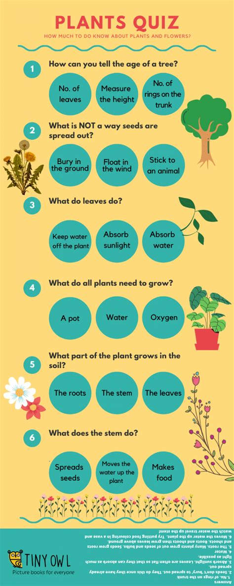 Plant Quiz Questions And Answers PDF