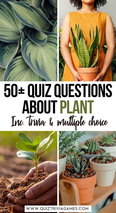 Plant Quiz Questions And Answers PDF