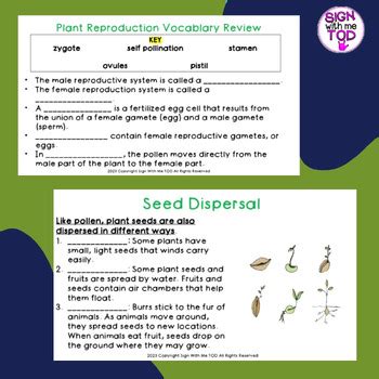 Plant Reproduction Vocabulary Review Answer Key Pearson Reader