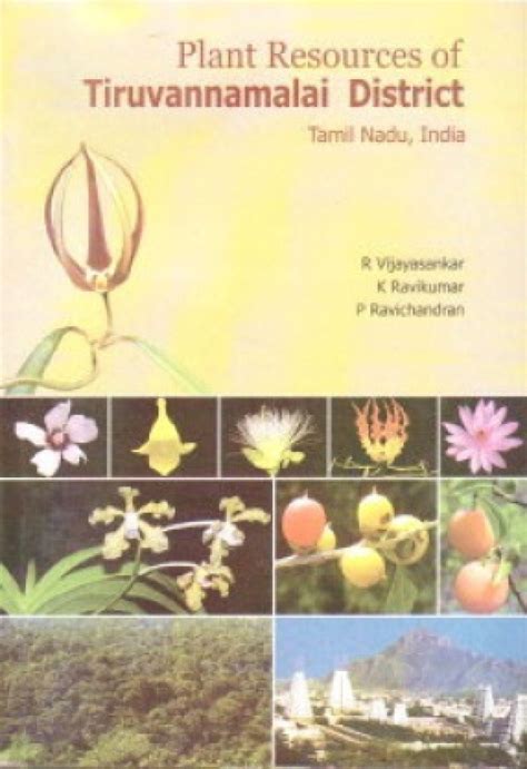 Plant Resources of Tiruvannamalai District Tamil Nadu Doc