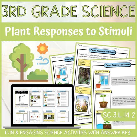 Plant Response Answer Key Epub