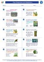 Plant Responses And Adaptations Answer Key Doc