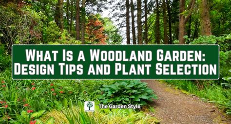 Plant Selection and Design: