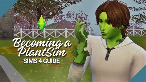 Plant Sims: A Whole New Way to Simulate Life