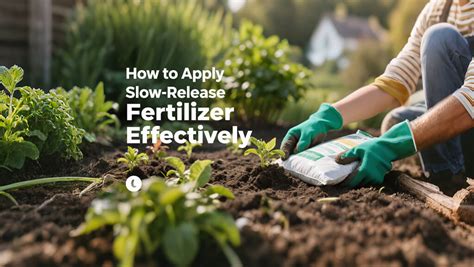 Plant Slow Release Fertilizer: Your Guide to 10X Efficiency