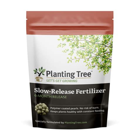 Plant Slow-Release Fertilizer: The #1 Guide to Feeding Your Plants Over Time