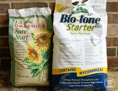 Plant Starter Fertilizer: Your 5-Step Guide to Bountiful Blooms and Robust Crops