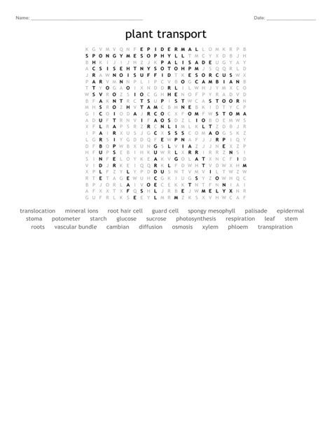 Plant Systems Transport Answer Key Reader