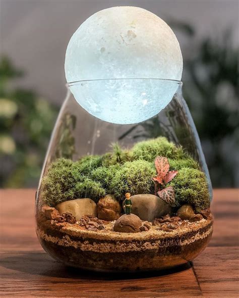 Plant Terrariums: 10,000+ Ideas for Self-Sustaining Ecosystems