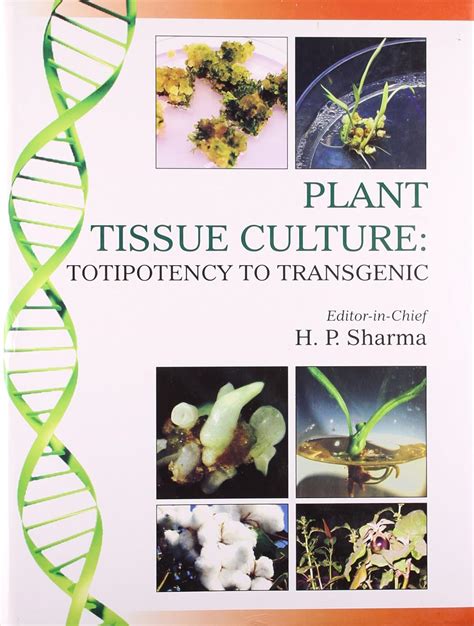 Plant Tissue Culture Totipotency to Transgenic Epub