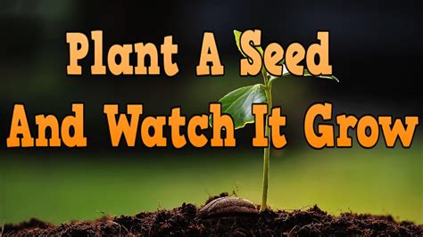 Plant a Seed and Watch it Grow PDF