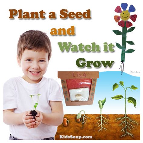 Plant a Seed and Watch it Grow PDF