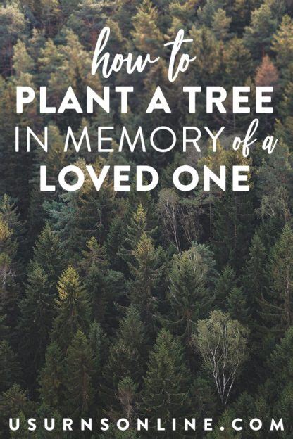 Plant a Tree for Someone Who Has Died: A Living Legacy