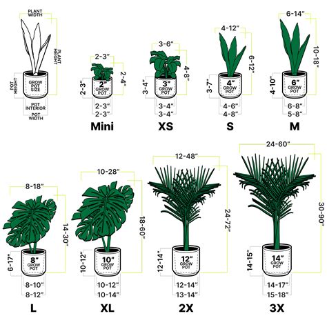 Plant size: