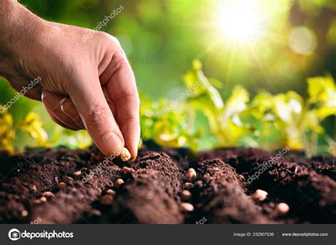 Plantando semillas: Pra.. Reader