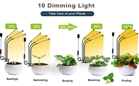 Planted LED Light: 50,000 Hours of Brilliance for Your Indoor Garden