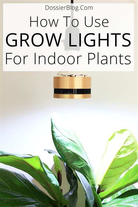 Planted LED Light: The Ultimate Guide to Growing Healthy Plants Indoors