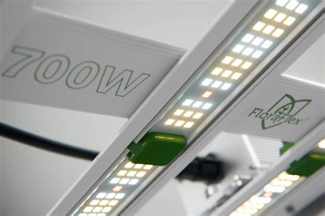 Planted LED Light 101: A Guide to Enhancing Plant Growth and Saving Money