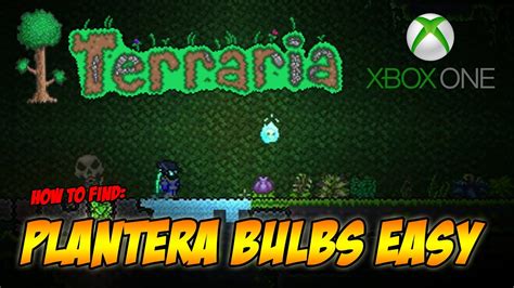 Plantera Bulbs: An Overview