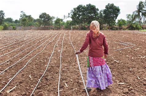 Planting Assistance to Small and Marginal Farmers Kindle Editon