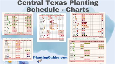 Planting Chart For Texas
