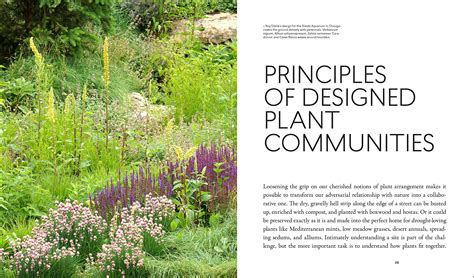 Planting Post Wild World Communities Landscapes PDF