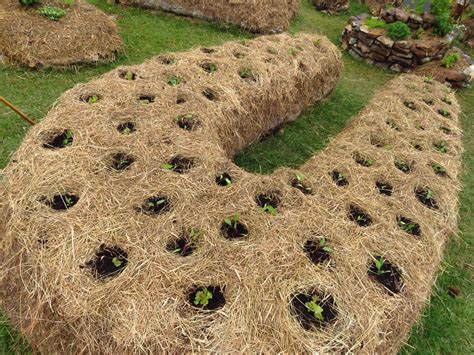 Planting Spiral: A Sustainable and Space-Saving Gardening Method