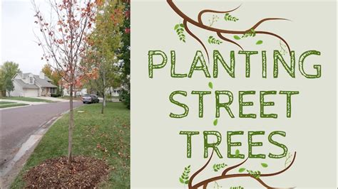 Planting and Care of Street Trees Reader