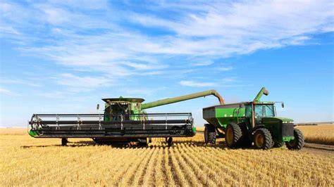 Planting and Harvesting Wheat