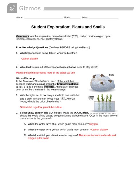Plants And Snails Gizmo Answers Doc