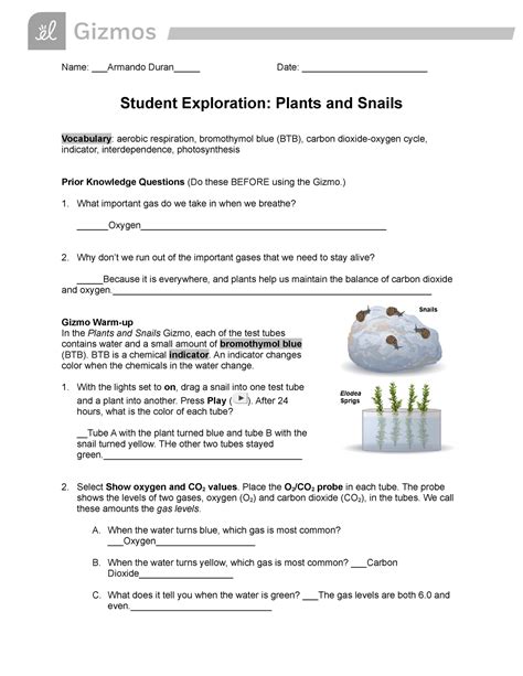 Plants Snails Explore Learning Answer Key PDF