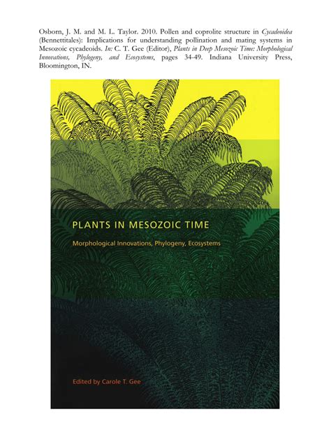 Plants in Mesozoic Time: Morphological Innovations PDF