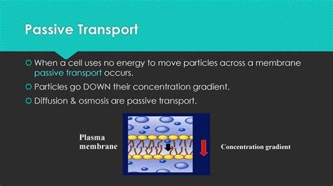 Plasma Accumulator (Passive):