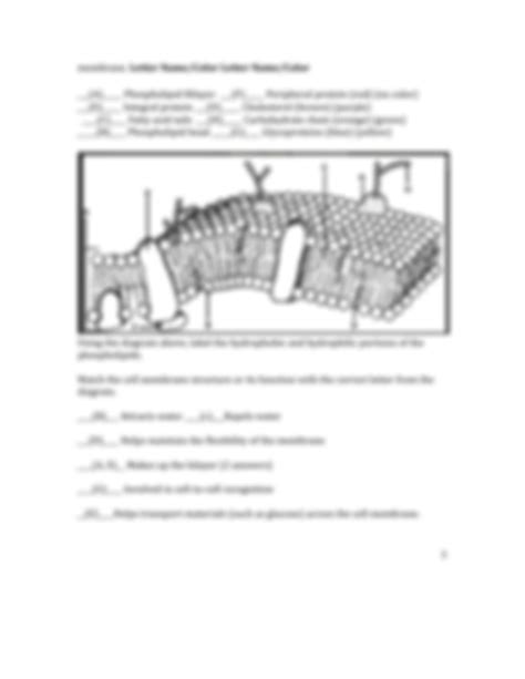 Plasma Membrane Structure And Function Answers Reader