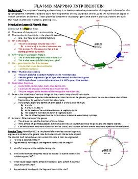 Plasmid Mapping 201 Exercise Answer Key Reader