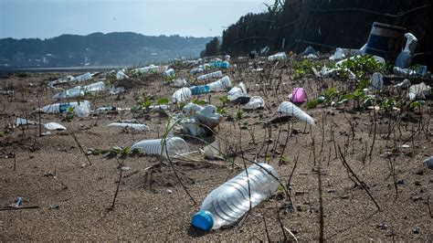 Plastic Water Bottles: A Growing Problem