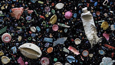 Plastic in the Ocean Quiz 2 Video Mandy Baker