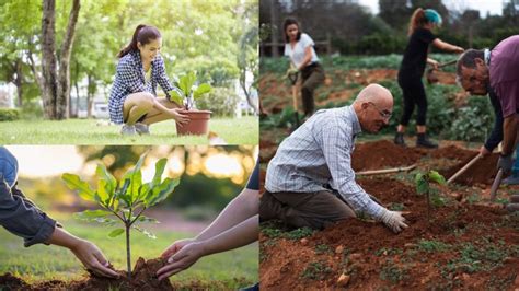 Plataforma FLOR-PG: Um Guia Completo para Agricultores e Especialistas