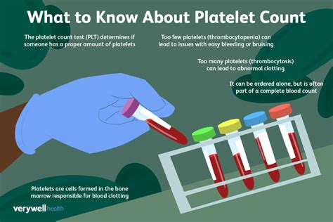 Platelet Count Blood Test: What It Is, When It's Needed, and What the Results Mean