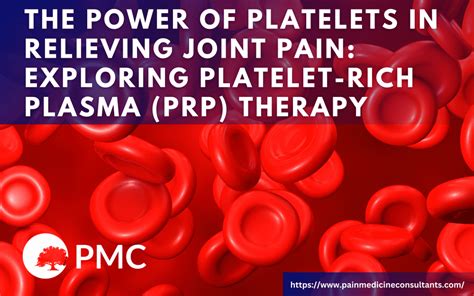 Platelet Power: Desvendando a Plaquetapenia