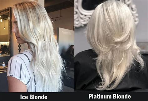 Platinum Blonde: The New Standard