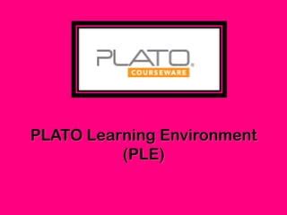 Plato Learning Environment English Iv Answer Key PDF