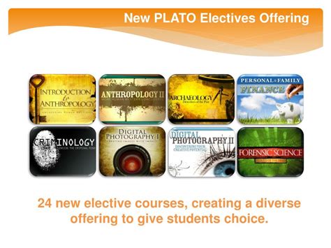 Plato Learning Inc Answers PDF