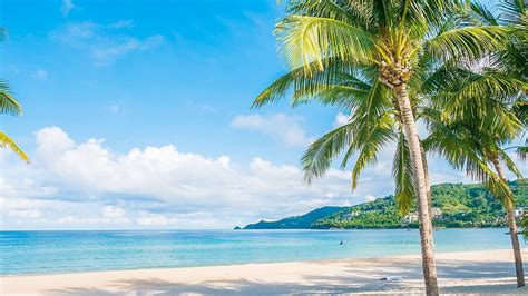 Playas de ensueño: el tesoro de Poguelandia