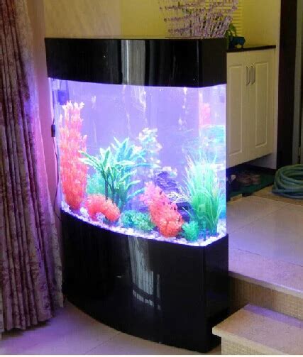 Plexiglass Fish Tanks: A Comprehensive Guide to the Perfect Aquatic Habitat