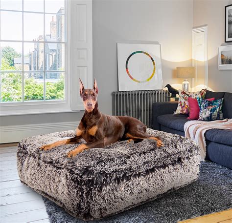 Plush dog beds: