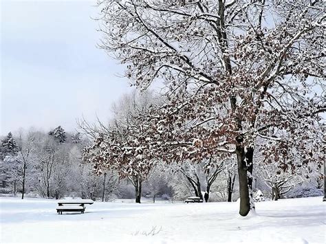 Plymouth's Climate: A Tale of Two Seasons