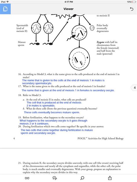 Pogil Answer Key Biology Meiosis PDF