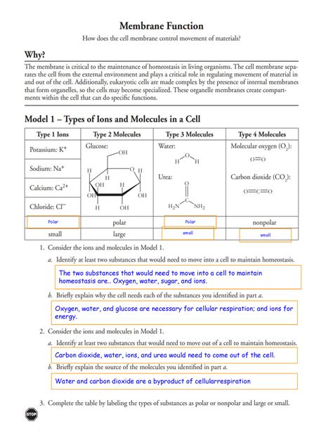 Pogil Ap Biology Answers Membrane Fun PDF